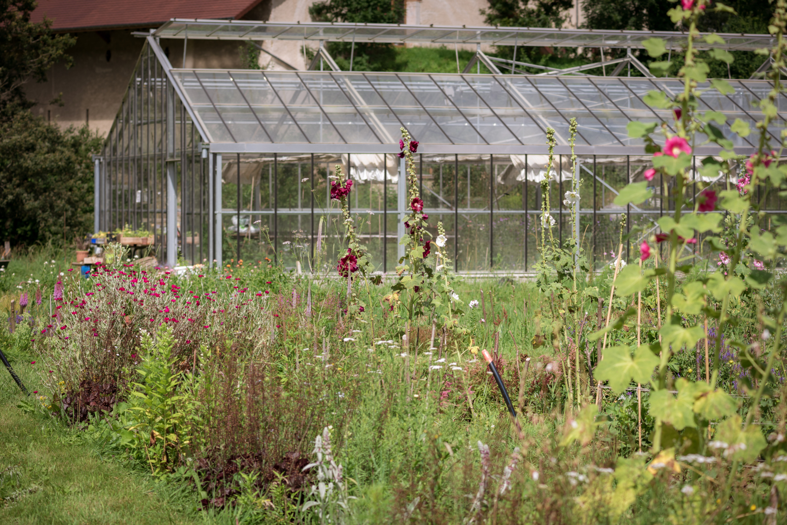 Photographe Guilhem de Lepinay